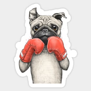 Pug boxer Sticker